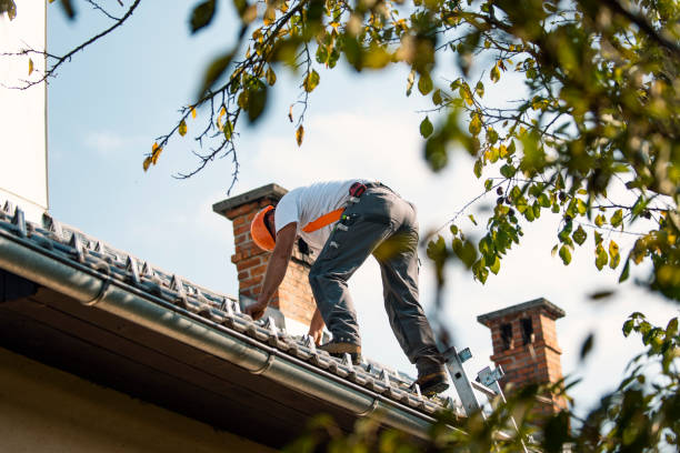 Roof Gutter Cleaning in American Canyon, CA